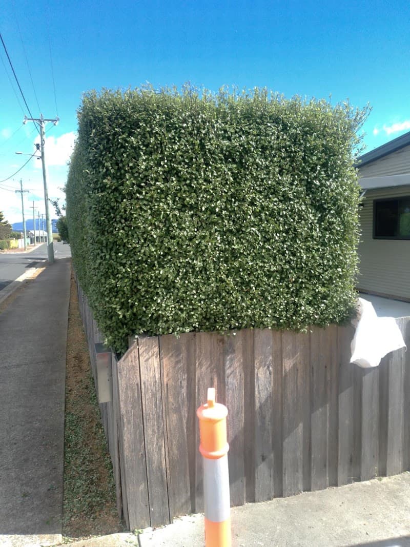 bonzarra property maintenance lawn care work in Launceston