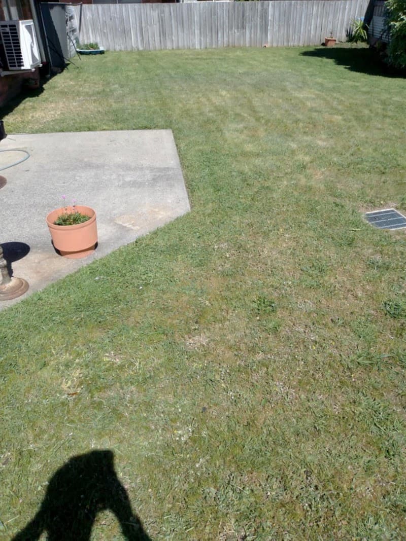 bonzarra property maintenance lawn care work in Launceston