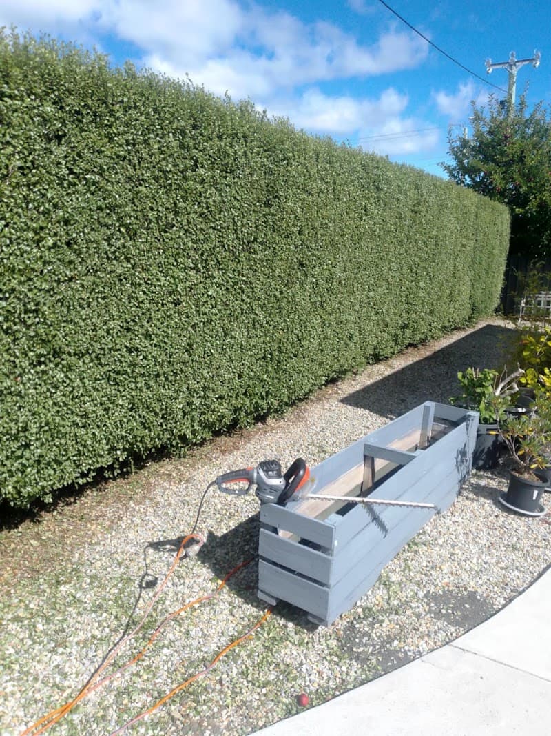 bonzarra property maintenance lawn care work in Launceston
