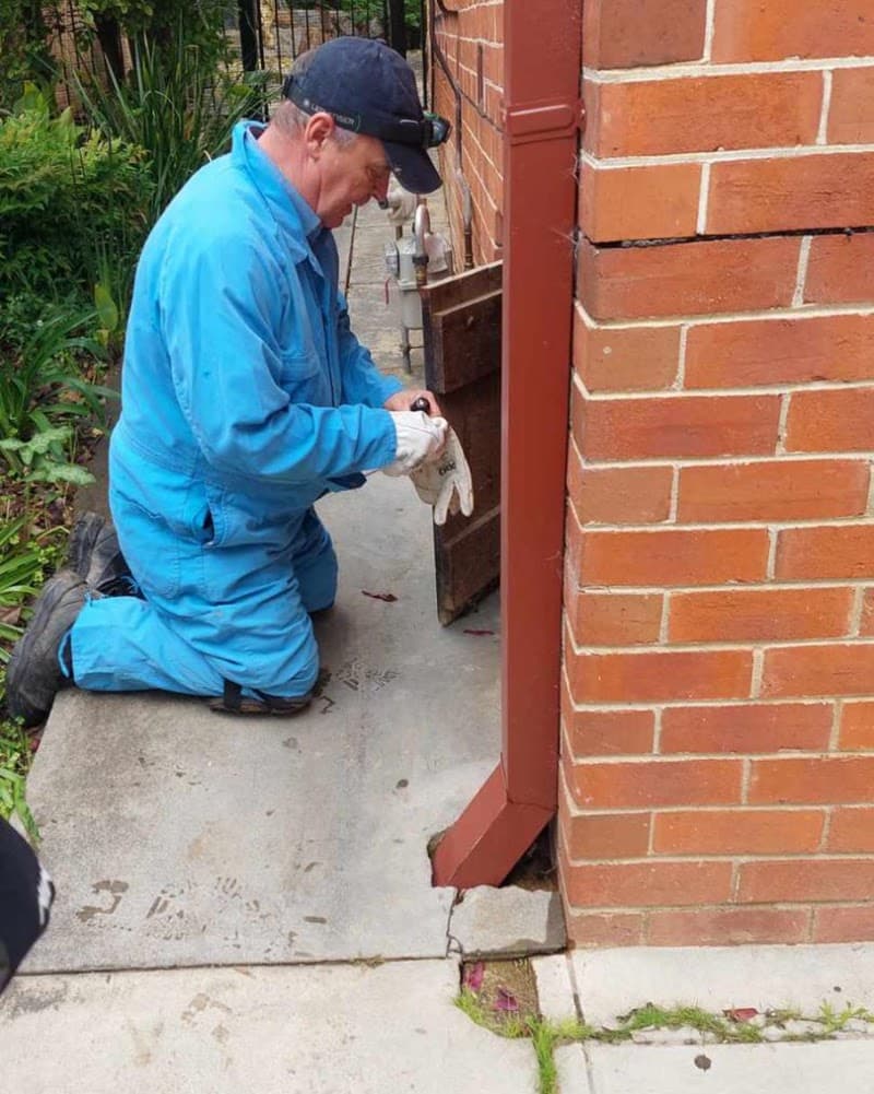 Border Pest Control pest control work in East Albury