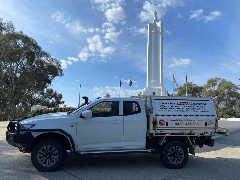 Border Pest Control pest control work in East Albury