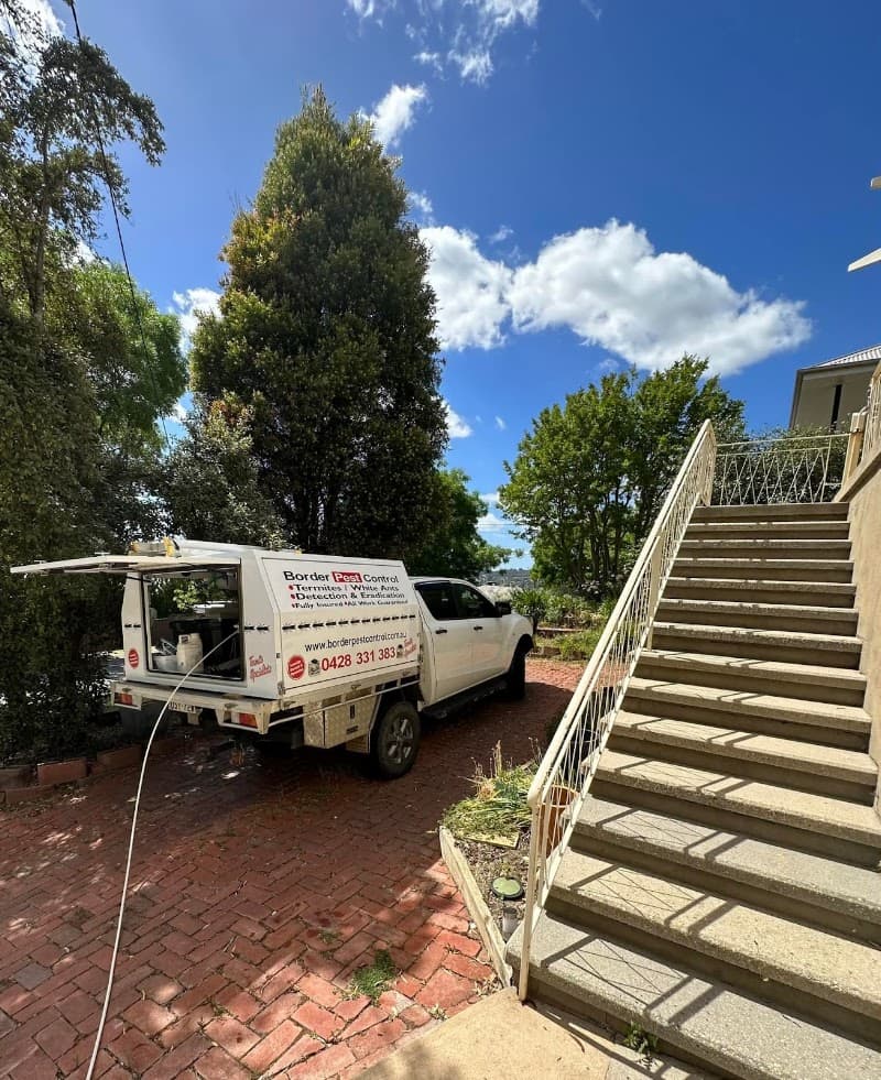 Border Pest Control pest control work in East Albury