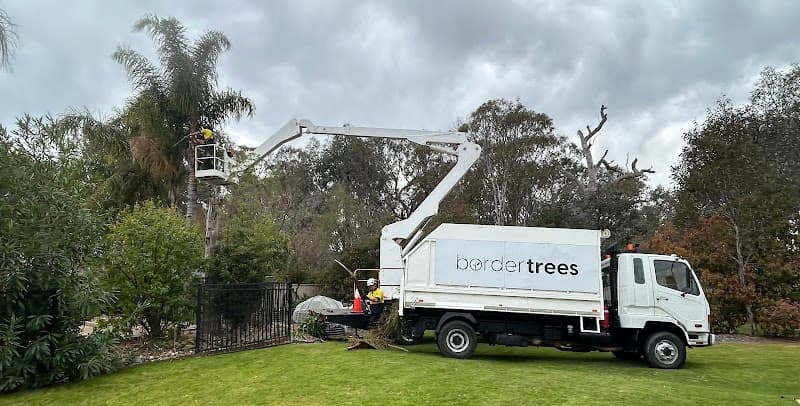 Border trees tree services work in Baranduda