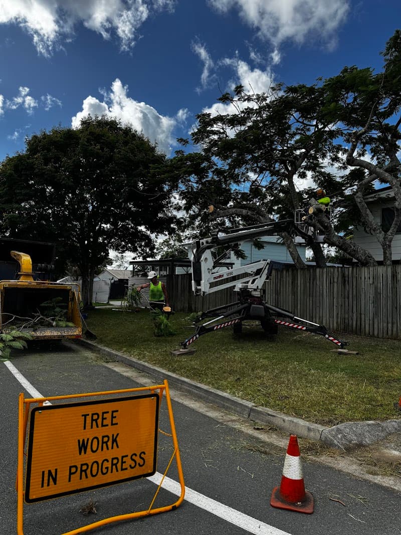 Boss Tree Services tree services work in Park Ridge