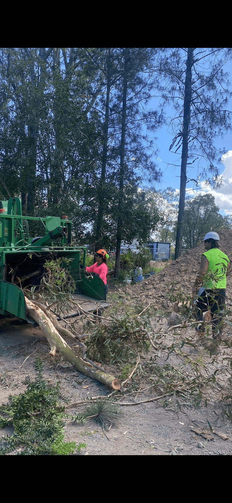 Boss Tree Services tree services work in Park Ridge