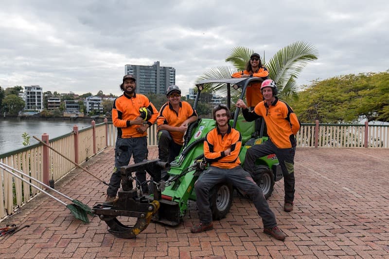 Boston Tree Care tree services work in Park Ridge South