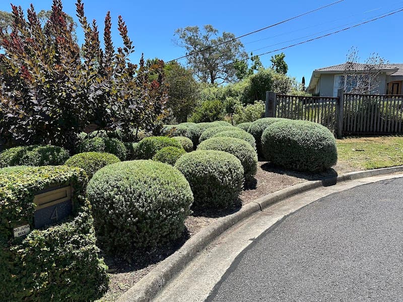 Botanical Haven Gardening Services gardening work in Mentone