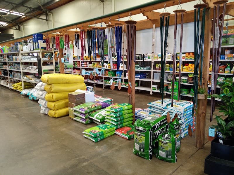 Boylans Garden World landscaping work in Qunaba