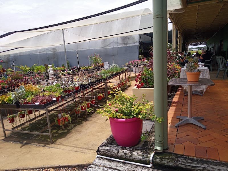 Boylans Garden World landscaping work in Qunaba