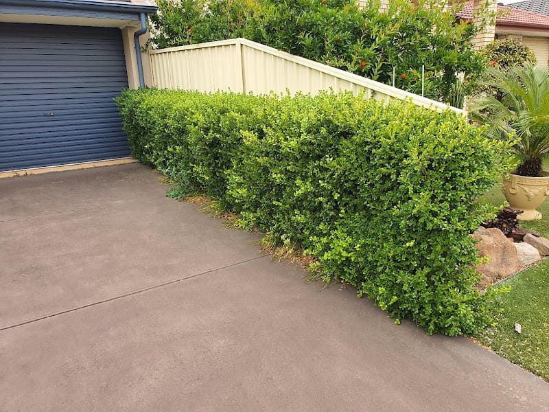 BP Blitz Garden Maintenance and Landscaping Services lawn care work in Salisbury