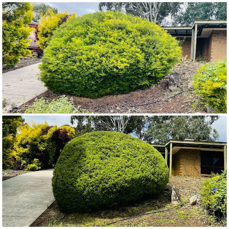 BP Blitz Garden Maintenance and Landscaping Services lawn care work in Salisbury