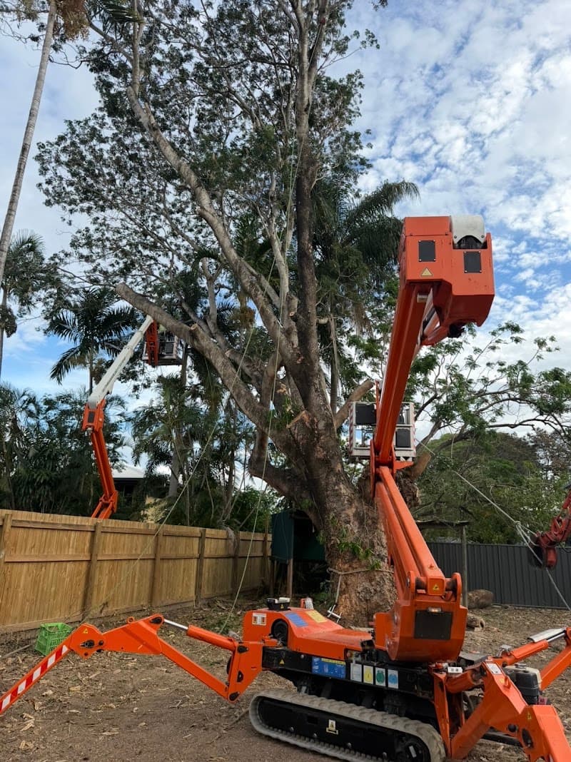 Bracky’s Trees tree services work in Garbutt