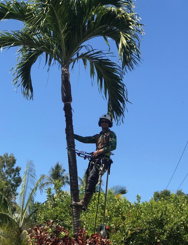 Bracky’s Trees tree services work in Garbutt
