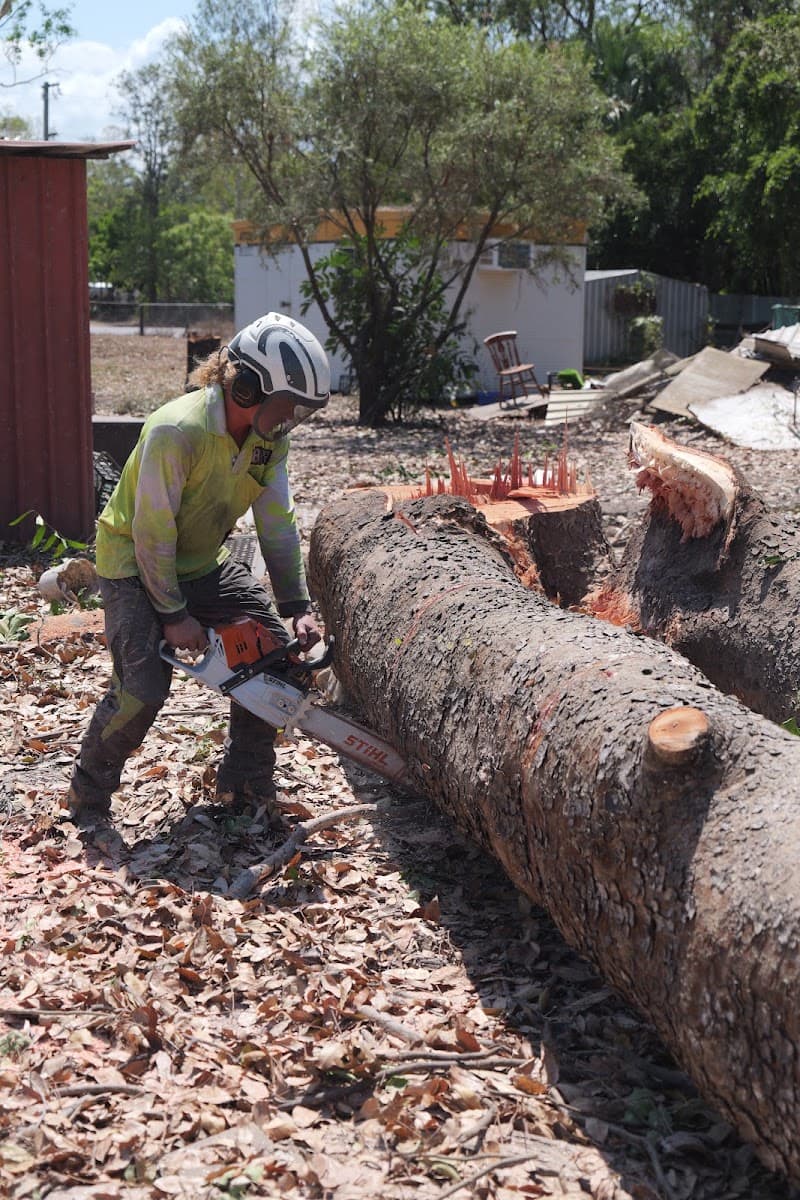 Bracky’s Trees tree services work in Garbutt