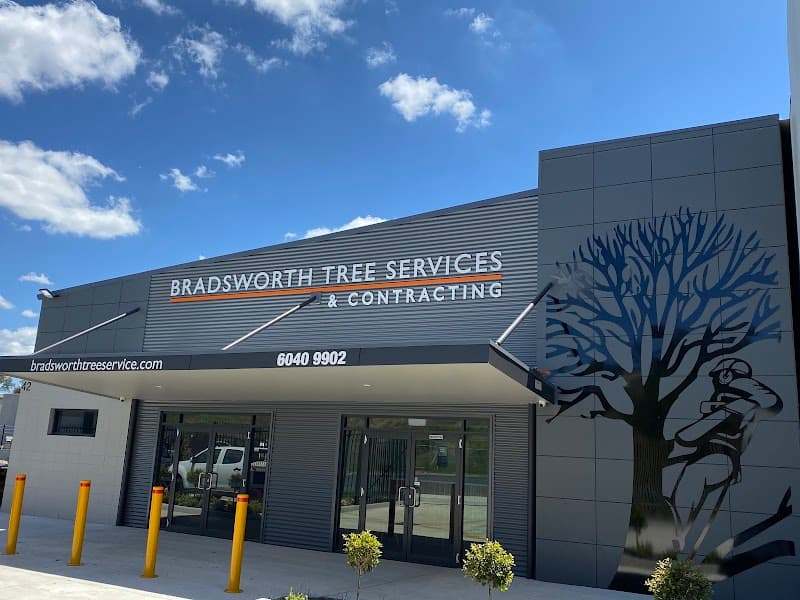 Bradsworth Tree Services & Contracting tree services work in East Albury