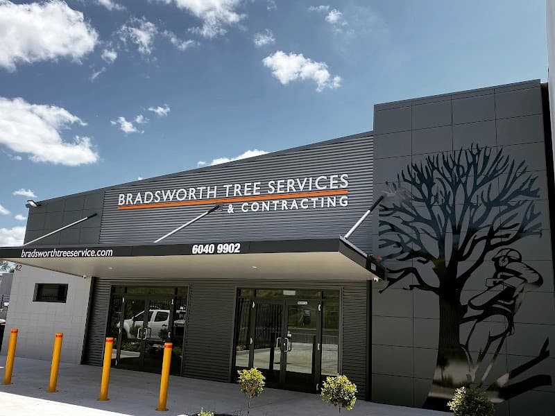 Bradsworth Tree Services & Contracting tree services work in East Albury