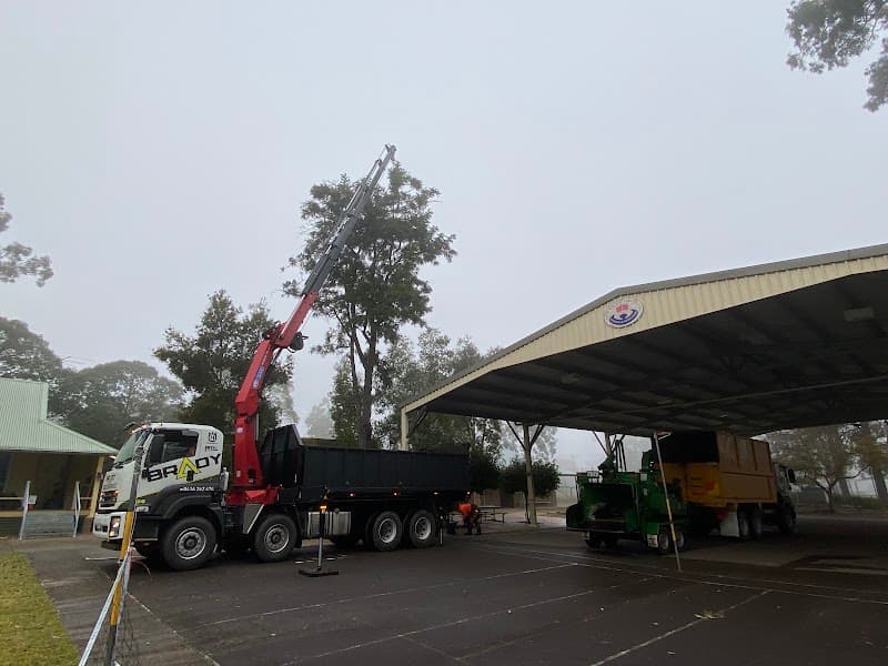 Brady Tree Service Pty Ltd tree services work in Kurrajong Heights