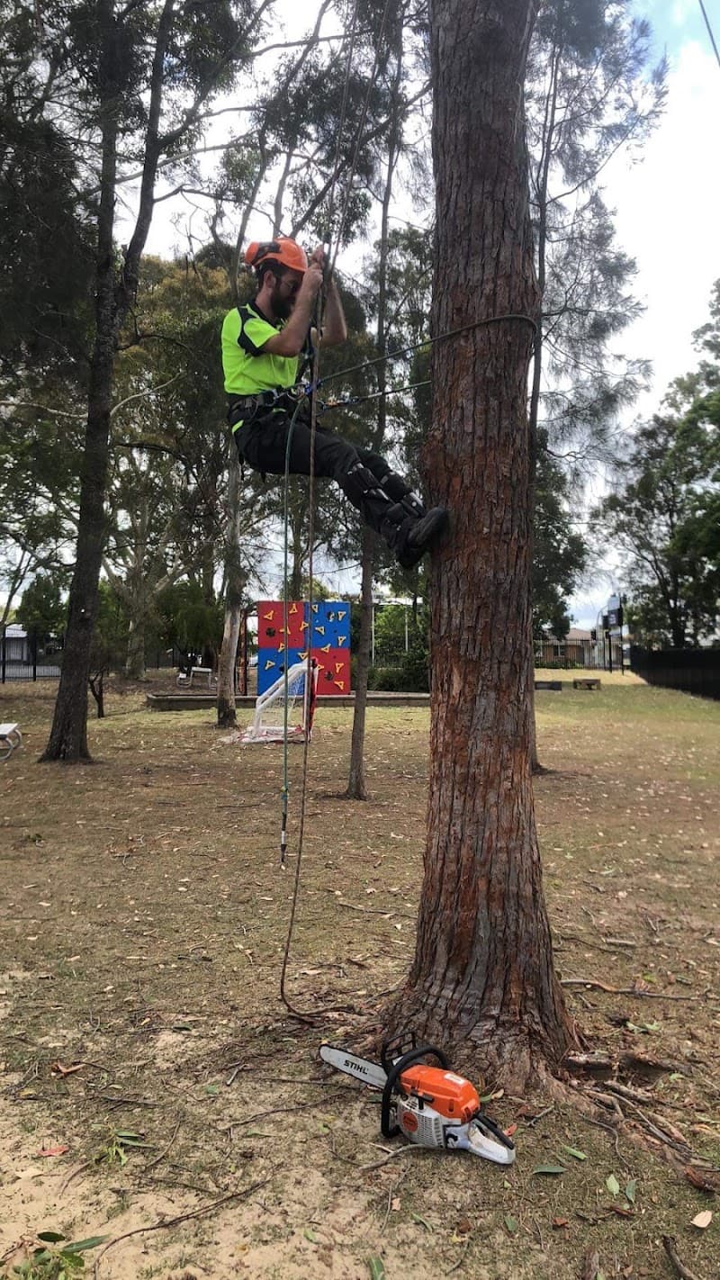 Branch Management Total Tree Services - Newcastle Tree Removal tree services work in Charlestown