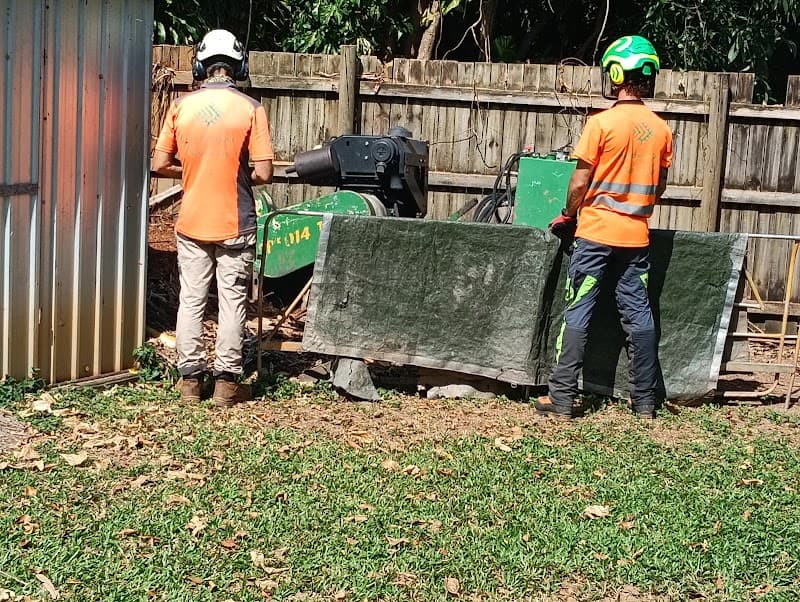 Branching Out Tree Specialists tree services work in Trinity Beach