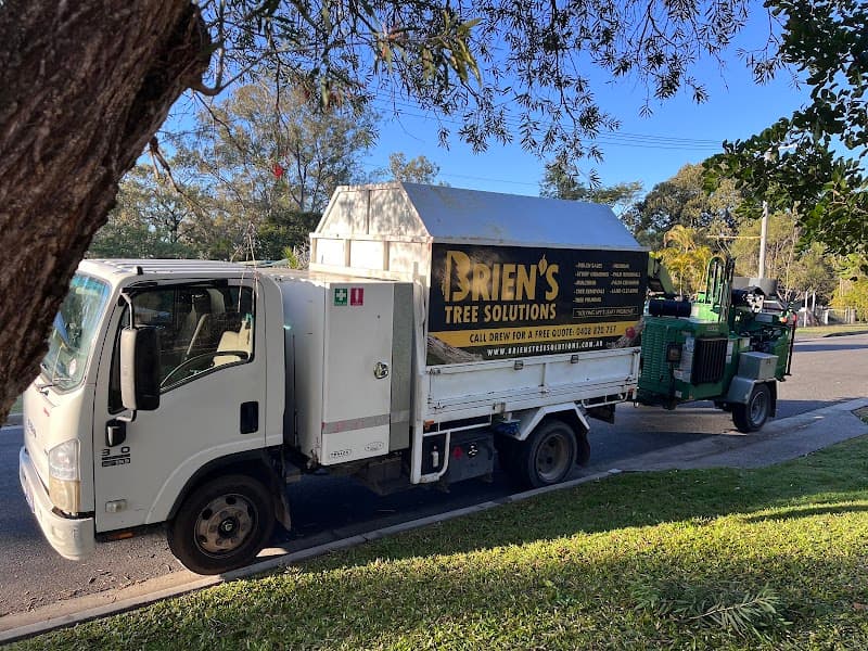 Brien's Tree Solutions tree services work in Wulkuraka