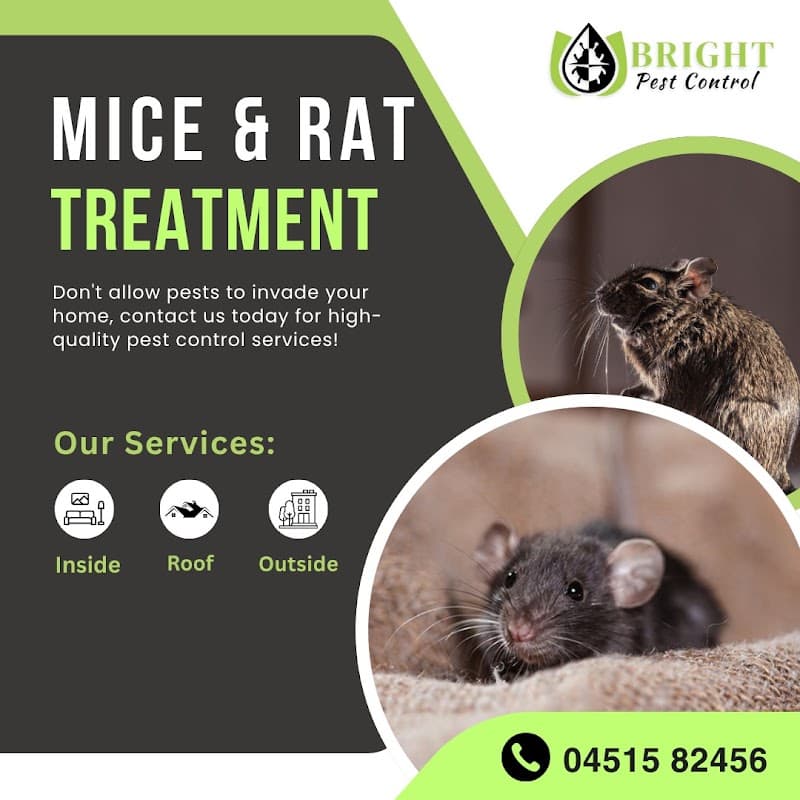 Bright Pest Control Pty Ltd pest control work in Clearview