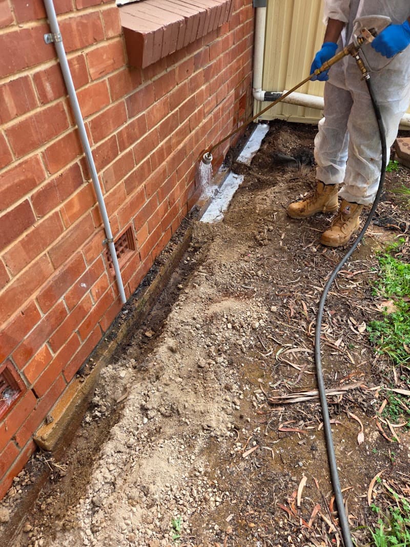Bright Pest Control Pty Ltd pest control work in Clearview