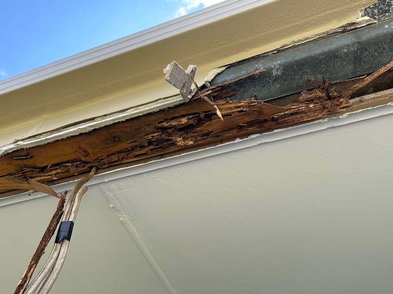 Bright Pest Control Pty Ltd pest control work in Clearview