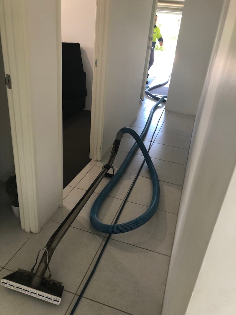 Brilliance Carpet Cleaning Perth carpet cleaning work in Perth