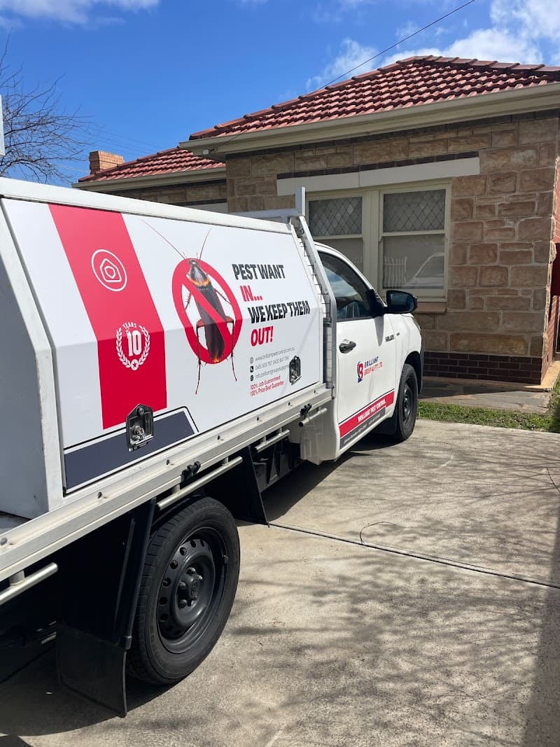 BRILLIANT PEST CONTROL SERVICES PTY. LTD. pest control work in Mitcham
