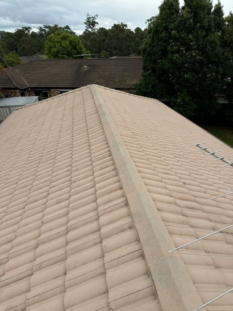 Brisbane Exterior Cleaning cleaning work in Petrie Terrace