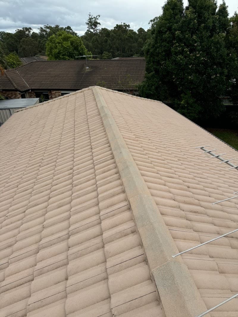 Brisbane Exterior Cleaning cleaning work in Petrie Terrace