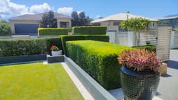 Brisbane Garden Service