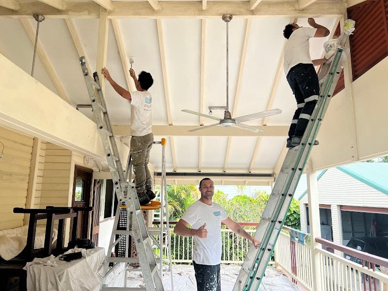 Brisbane Professional Painters painter work in Hemmant