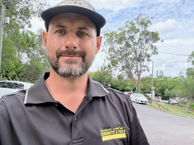 Brisbane Termite & Pest Control pest control work in Milton