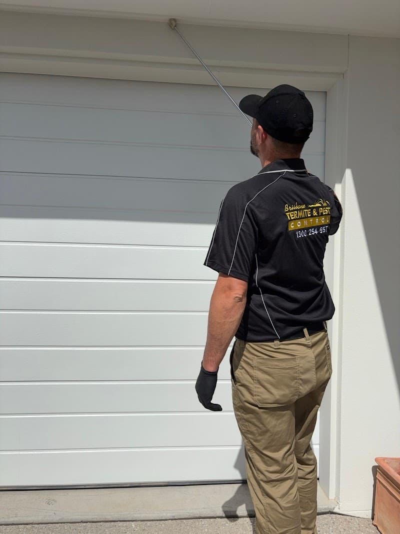 Brisbane Termite & Pest Control pest control work in Milton