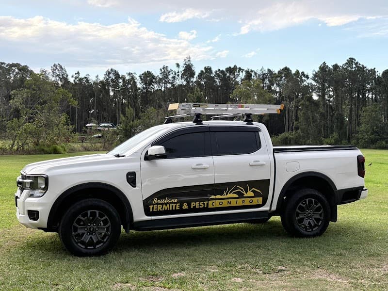 Brisbane Termite & Pest Control pest control work in Milton