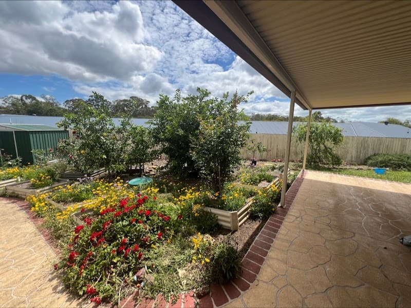 Brisbane Tree Experts | Tree Arborists & Tree Care Specialists tree services work in Brisbane City