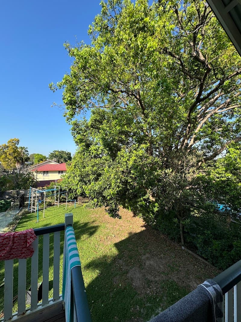 Brisbane Trees and Gardens tree services work in Archerfield