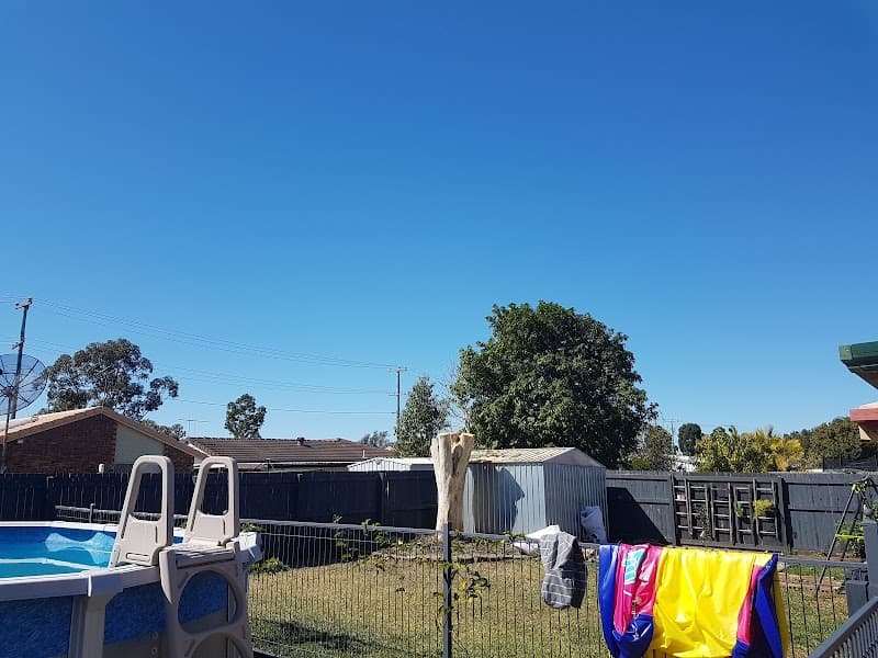 Brisbane Treeworx tree services work in Brisbane City