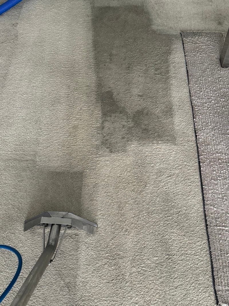 Broadbeach Carpet Cleaning carpet cleaning work in Broadbeach