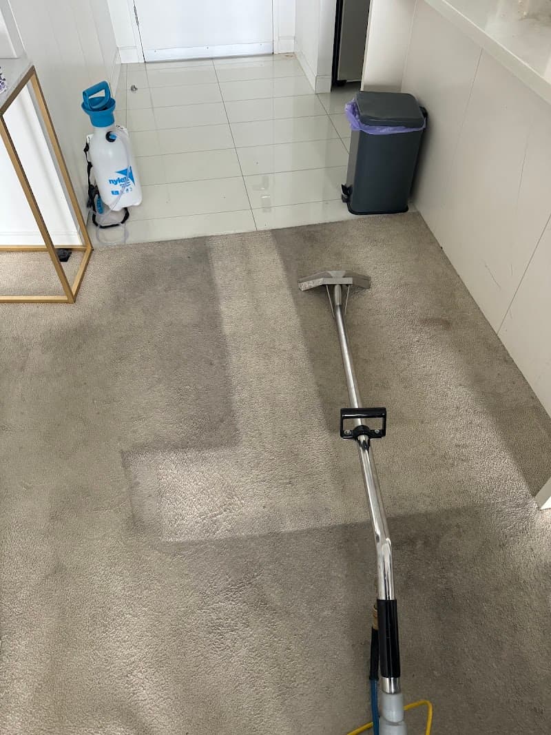 Broadbeach Carpet Cleaning carpet cleaning work in Broadbeach