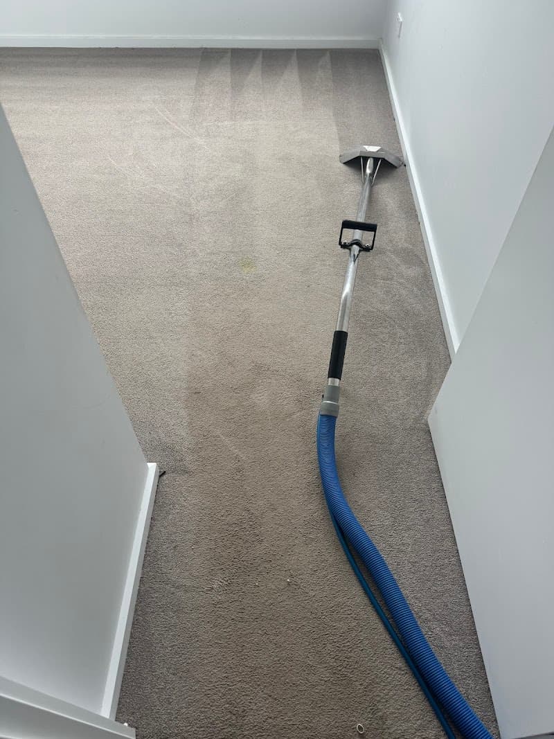 Broadbeach Carpet Cleaning carpet cleaning work in Broadbeach