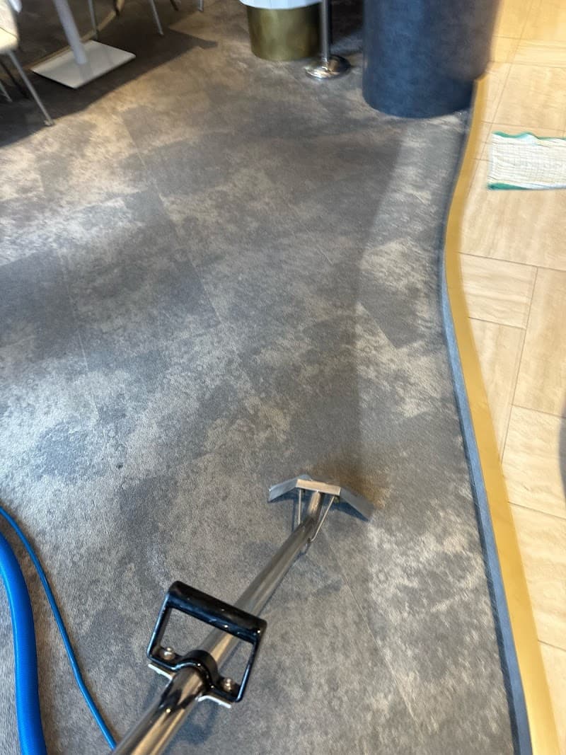 Broadbeach Carpet Cleaning carpet cleaning work in Broadbeach