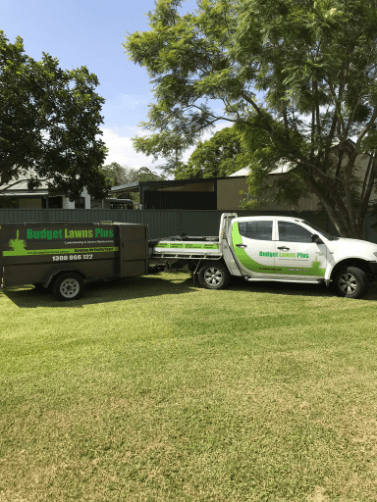 Budget Lawns Plus lawn care work in Ourimbah