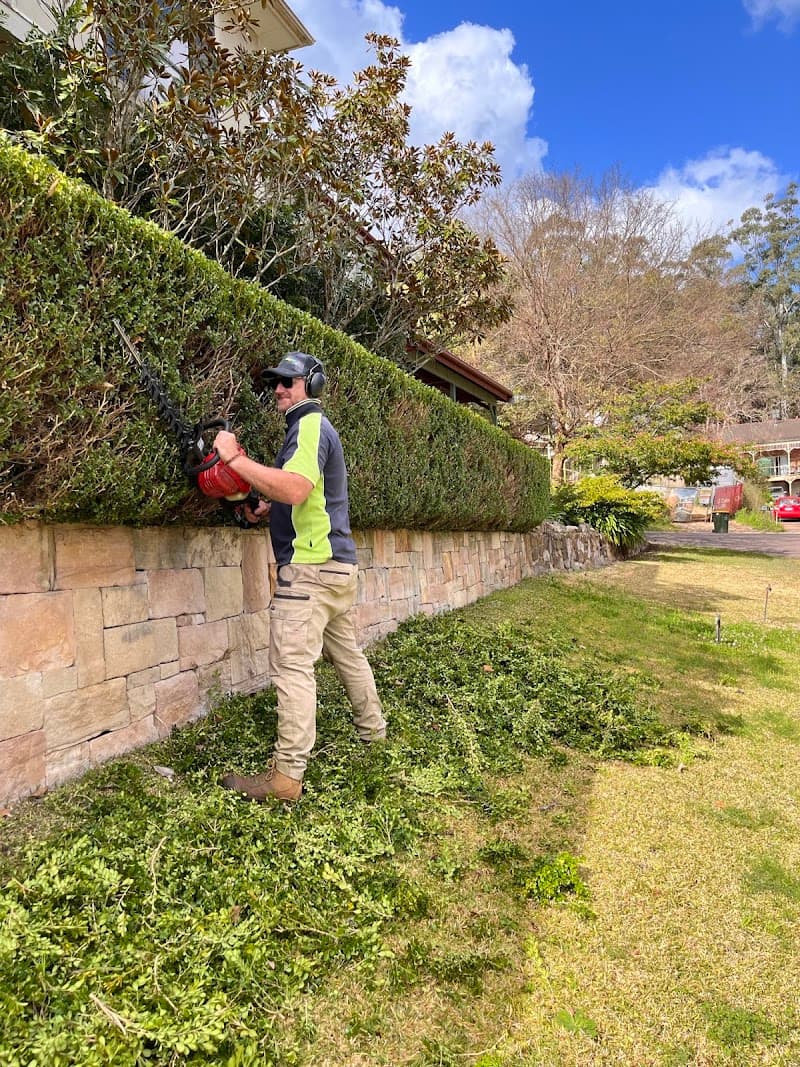 Budget Lawns Plus lawn care work in Ourimbah