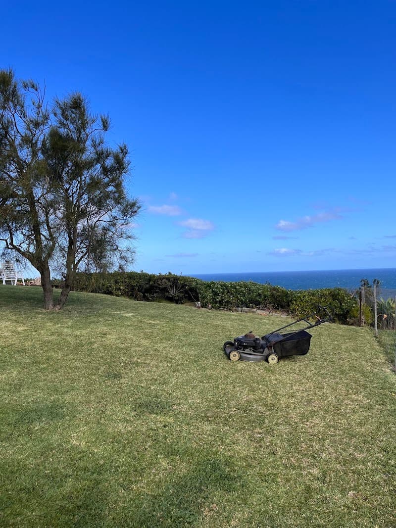 Budget Lawns Plus lawn care work in Ourimbah