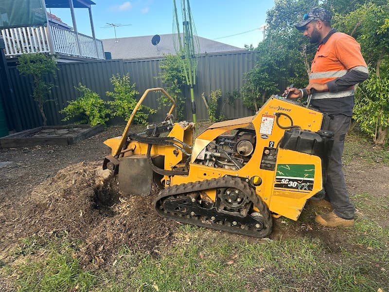 Budget Tree Removal tree services work in Virginia