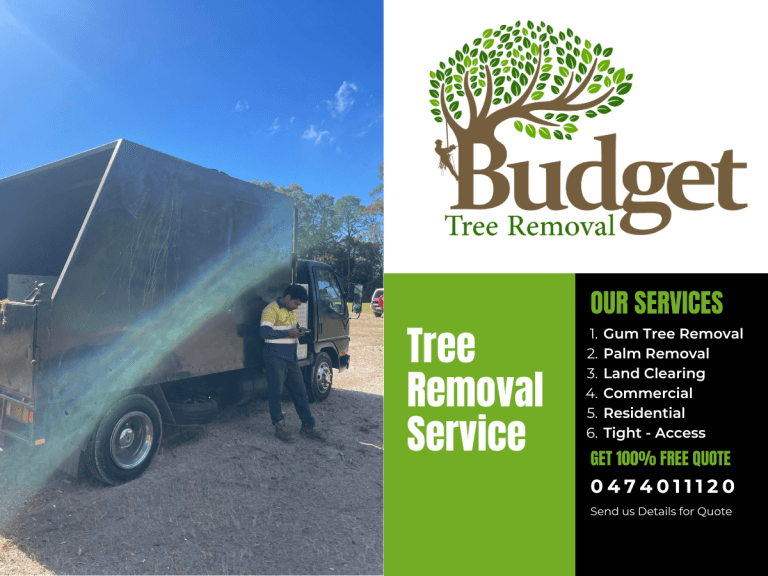 Budget Tree Removal tree services work in Virginia