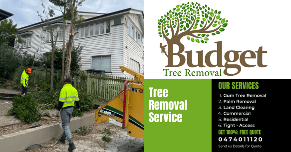 Budget Tree Removal tree services work in Virginia
