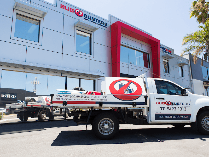 Bug Busters Pest Control pest control work in Osborne Park